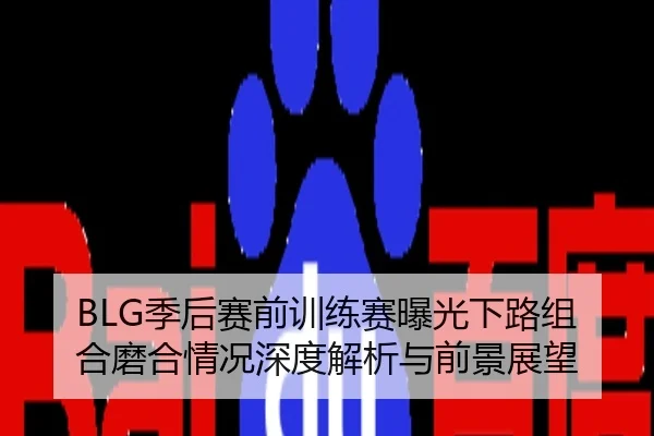 BLG季后赛前训练赛曝光下路组合磨合情况深度解析与前景展望
